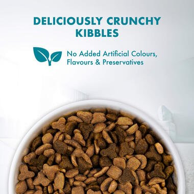 Purina ONE Cat Food Healthy Adult Salmon and Tuna - Pets Emporium