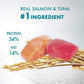 Purina ONE Cat Food Healthy Adult Salmon and Tuna - Pets Emporium