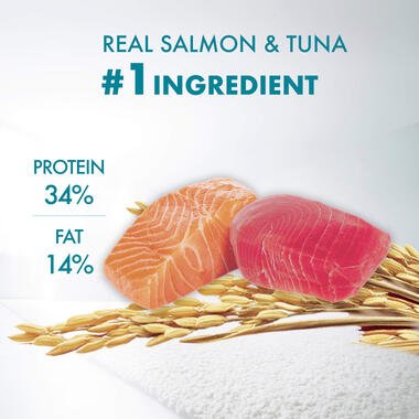 Purina ONE Cat Food Healthy Adult Salmon and Tuna - Pets Emporium