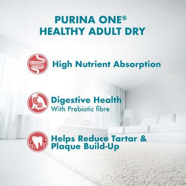 Purina ONE Cat Food Healthy Adult Salmon and Tuna - Pets Emporium
