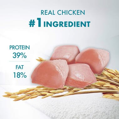 Purina ONE Healthy Kitten Food Chicken - Pets Emporium