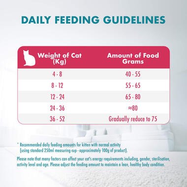 Purina ONE Healthy Kitten Food Chicken - Pets Emporium