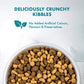 Purina ONE Healthy Kitten Food Chicken - Pets Emporium