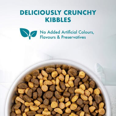 Purina ONE Healthy Kitten Food Chicken - Pets Emporium