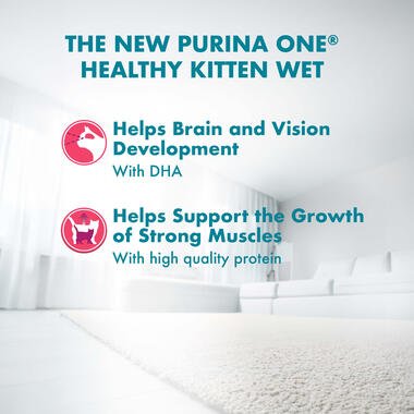Purina ONE Kitten with Chicken in Gravy Wet Cat Food - Pets Emporium