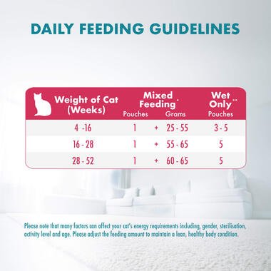 Purina ONE Kitten with Chicken in Gravy Wet Cat Food - Pets Emporium