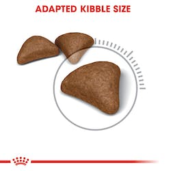 ROYAL CANIN HAIRBALL DRY CAT FOOD Kibble Size Pets Emporium