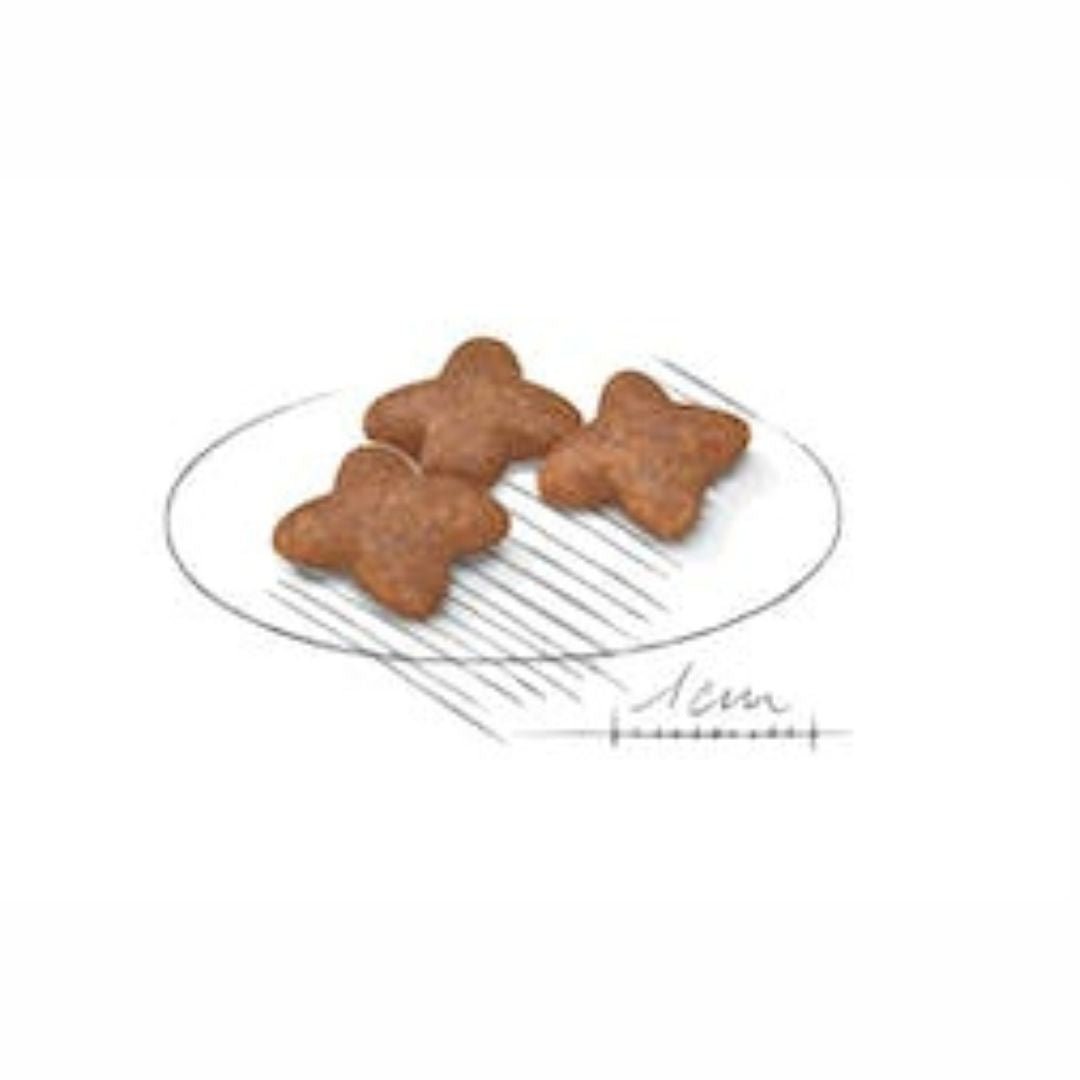 Royal Canin Mini Adult Dog Food - Pets Emporium