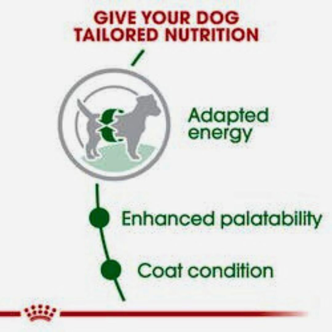 Royal Canin Mini Adult Dog Food - Pets Emporium