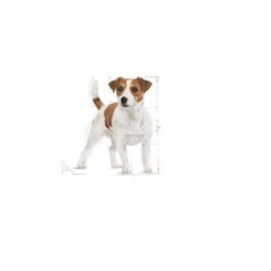 Royal Canin Mini Adult Dog Food - Pets Emporium