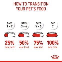 ROYAL CANIN KITTEN DRY CAT FOOD TRANSITION METHOD PETS EMPORIUM