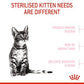 Royal Canin Kitten Sterilised Cat Food