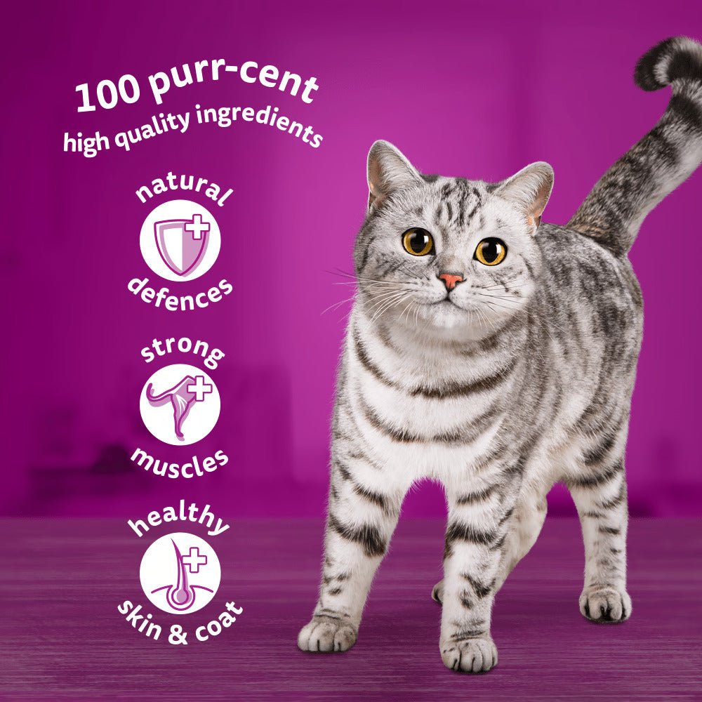 WHISKAS® Meaty Meals in Gravy 1+ Adult (85g) - Pets Emporium