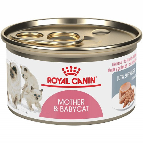 Royal Canin Mother & Babycat Mousse Tin by Pets Emporium