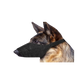 Dog Wearing Parachute Muzzle by Pets Emporium