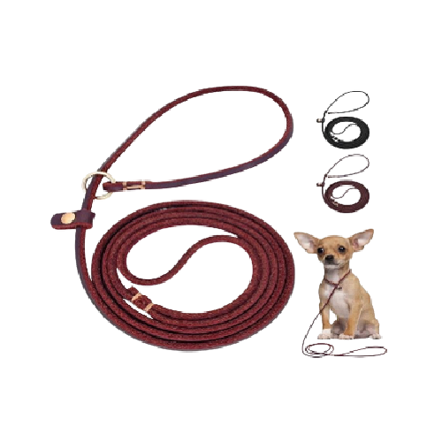 Leather choke leash