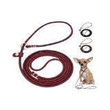 Leather choke leash