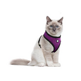 FULL BODY CAT HARNESS