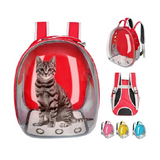 CAT PET CARRYING BAG PRINTED From PETS EMPORIUM