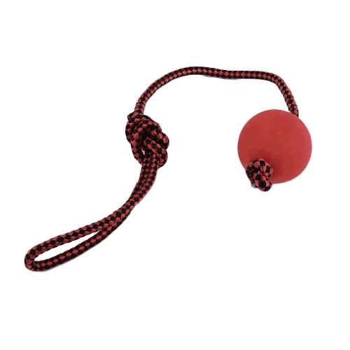 Dog Red Rope Ball Toy