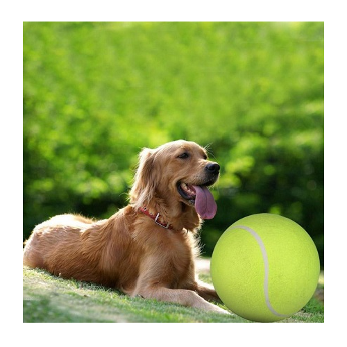 Dog Training Ball by Pets Emporium