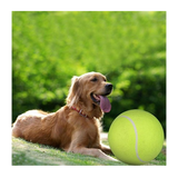 Dog Training Ball by Pets Emporium