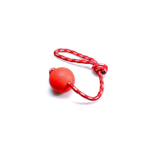 Rope Red Playing Ball By Pets Emporium