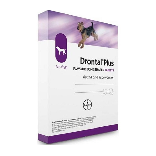 Drontal Tab Dog