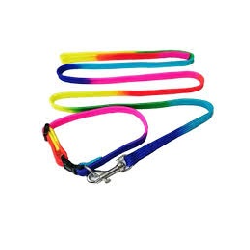 Multi Colour Leash