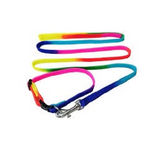 Multi Colour Leash