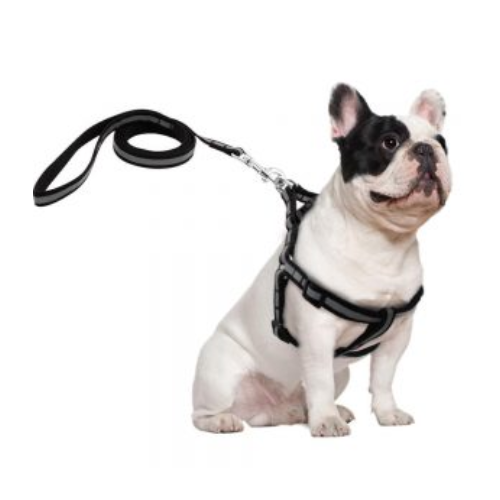 Puppy Harness Reflector Pack