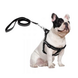 Puppy Harness Reflector Pack