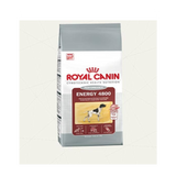 ROYAL CANIN ENERGY 4800 DRY DOG FOOD